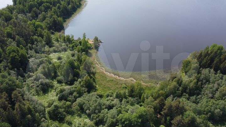 Участок 5,5 га (ИЖС)