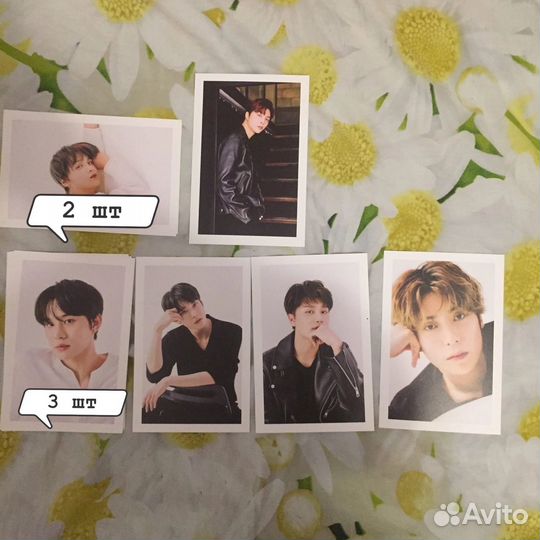 Наборы досье гритинга Nct 127