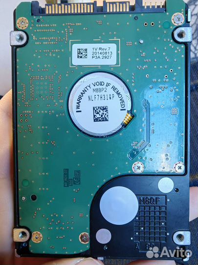 Жесткий диск для ноутбука samsung