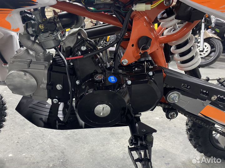 Питбайк Motoland apex10