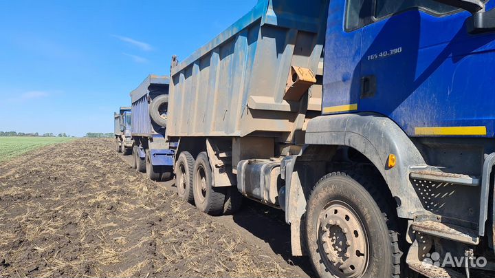 MAN TGS 40.390, 2011