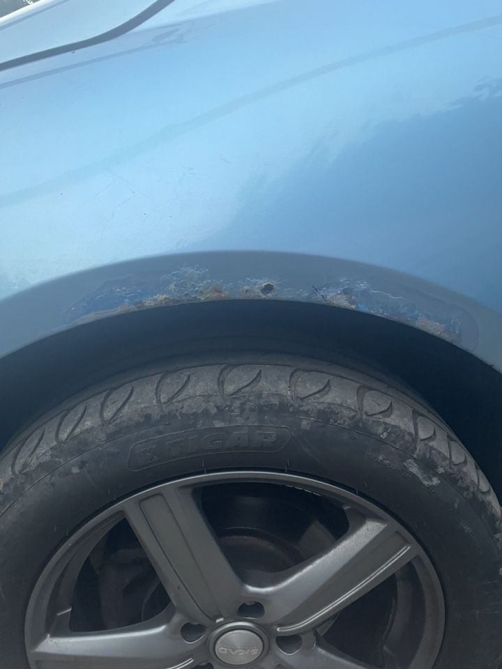 Mitsubishi Grandis: фото владельца
