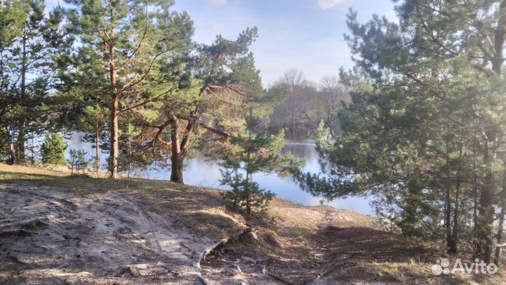 Прокат аренда мотоциклов