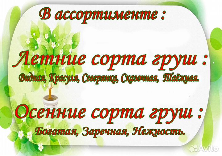 Саженцы
