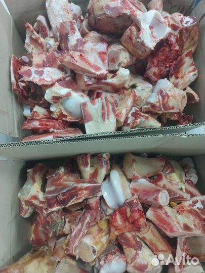 Кости свиные и говяжые свежий также шкура по 10 р