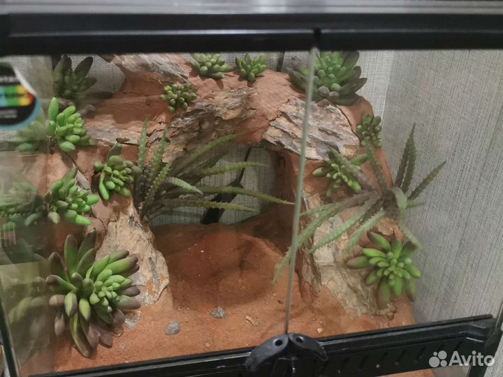 Террариум для рептилий (Хабитат Panteric)