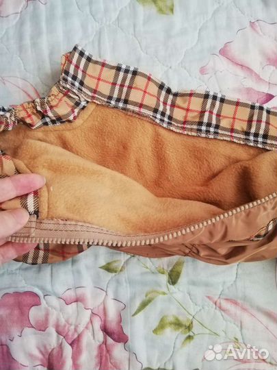 Одежда на таксу