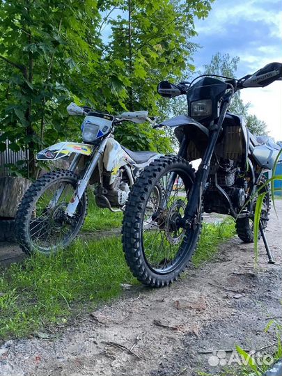 Avantis fx 250 lux