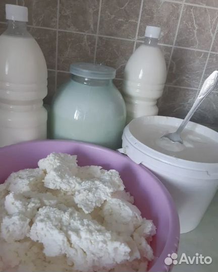 Молоко, творог, сметана, кефир