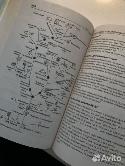 Справочник по биологии (Богданова, Солодова)