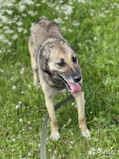 Ласковая девочка