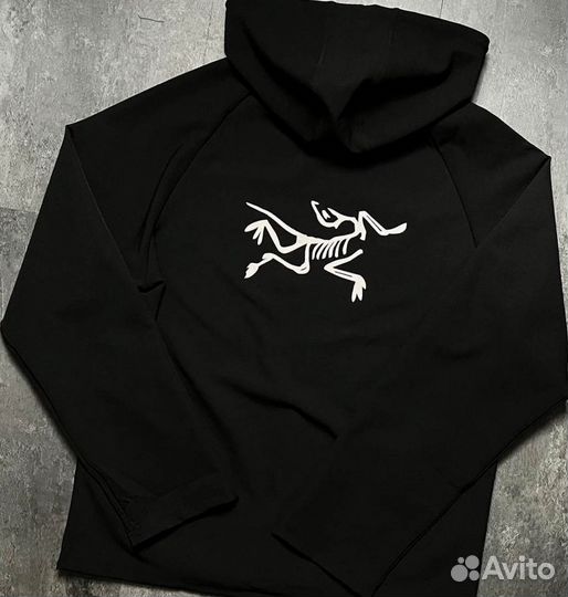 Ветровка мужская arcteryx