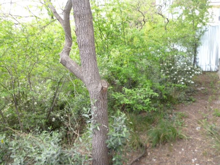 Участок 8 сот. (ИЖС)