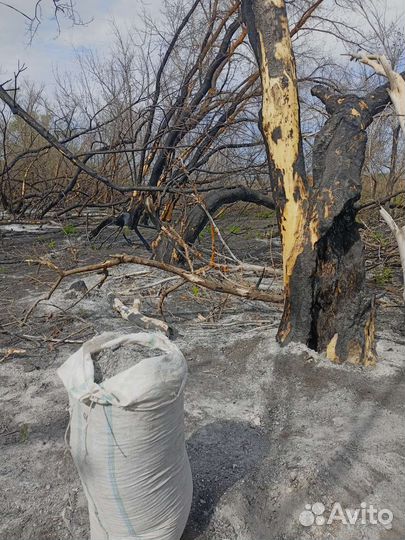 Зола древесная натуральная