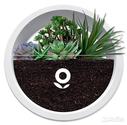 Панно набор для растений