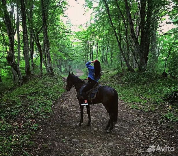 Конные прогулки на лошадях Сочи Адлер Сириус