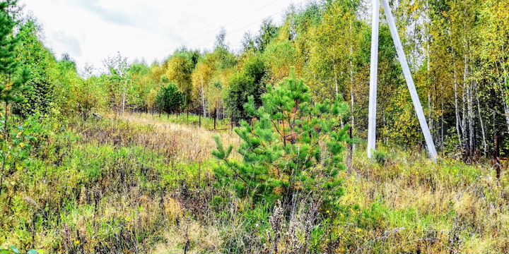 Участок 28 сот. (СНТ, ДНП)