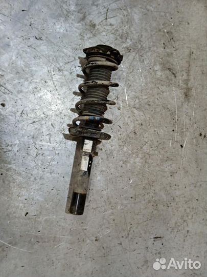 Амортизатор передний Octavia