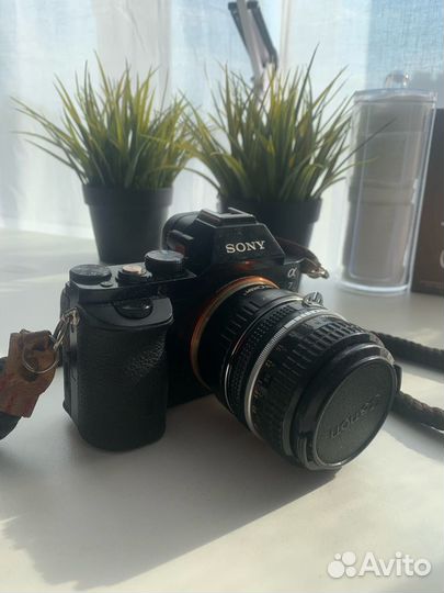Sony a7 (ilce-7)