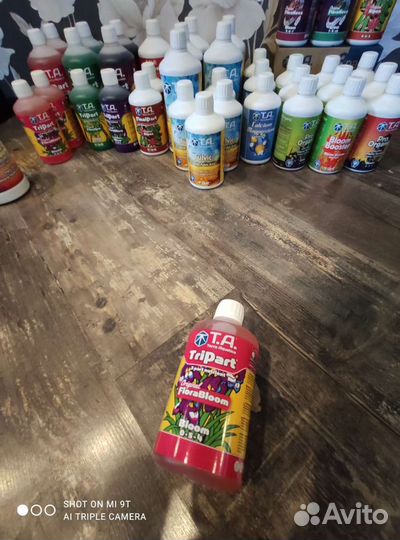 GHE TriPart - Flora Bloom