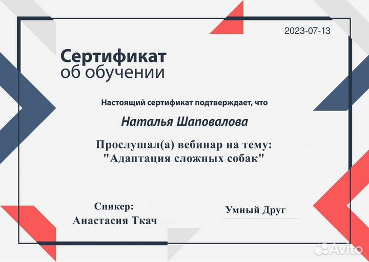 Частный кинолог