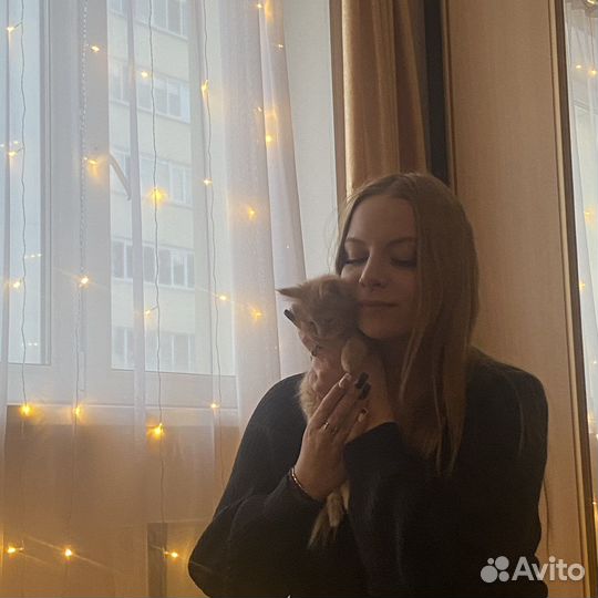 Присмотр за животными