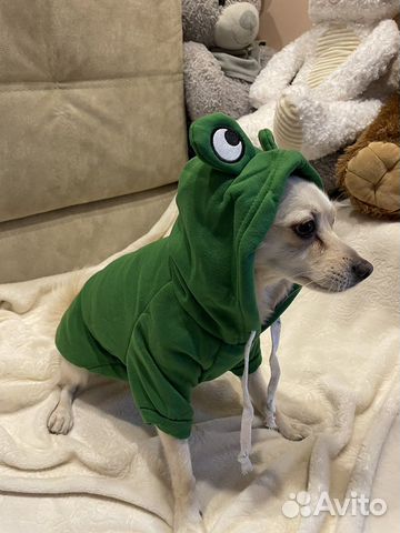 Одежда для собак толстовка