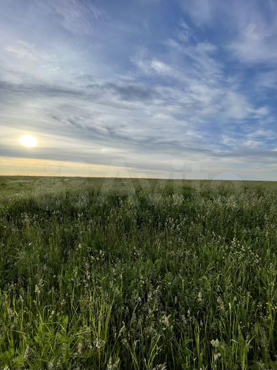 Участок 40 сот. (ИЖС)