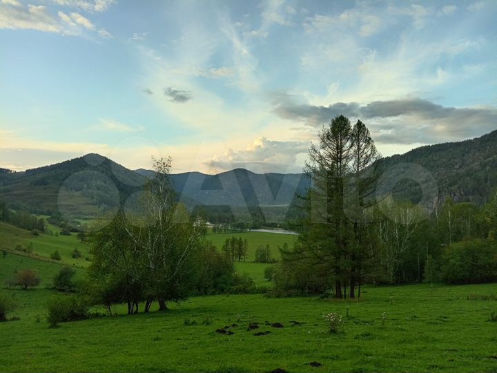 Участок 11 сот. (СНТ, ДНП)