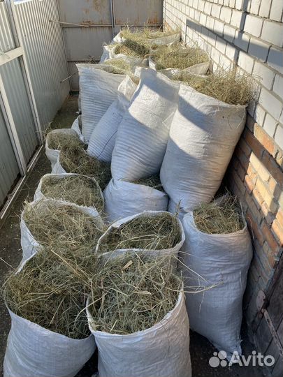 Продам сено в мешках