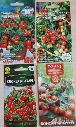 Рассада томатов; перцев острых и сладких
