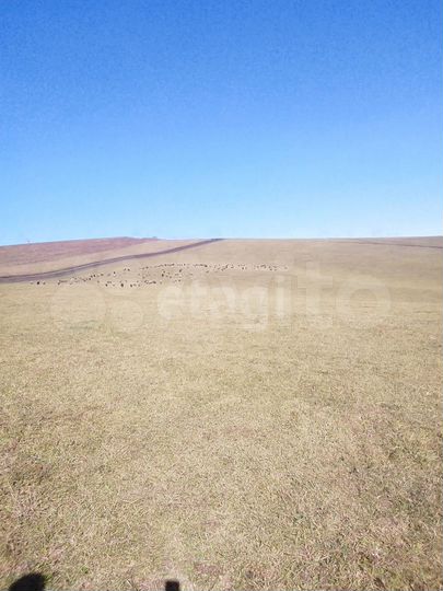 Участок 5,16 га (СНТ, ДНП)