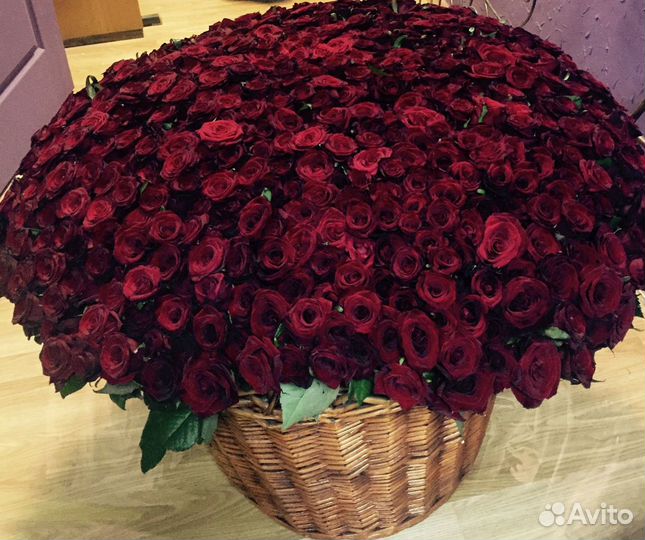 101 51 25 Тюльпанов