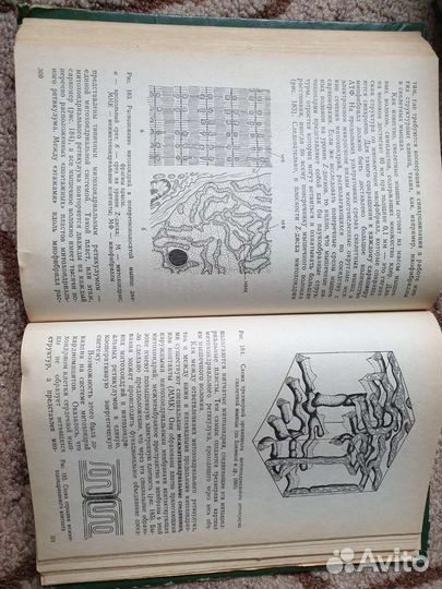 Общая цитология Ченцов