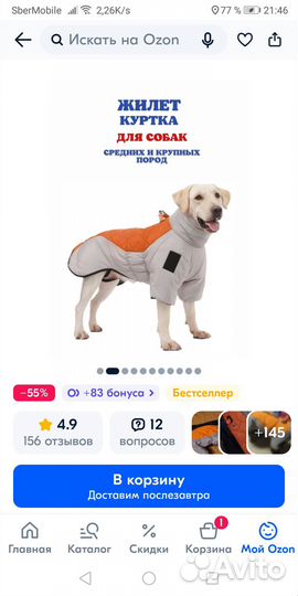 Одежда для собак