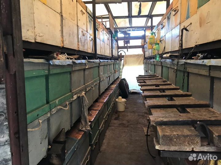 Продаю пасеку