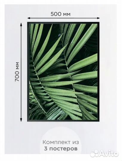 Постеры картины интерьерные