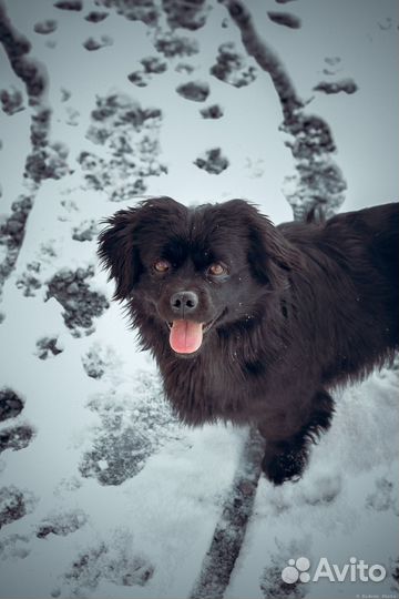 Вязка мальчик красавец
