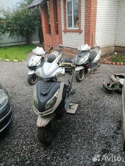 Ирбис нирвана разбор