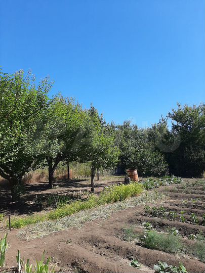 Участок 9 сот. (СНТ, ДНП)