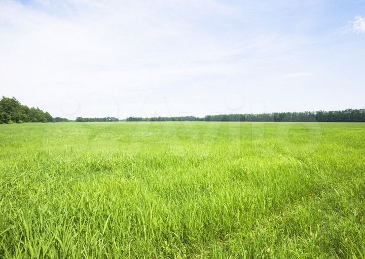 Участок 1,22 га (СНТ, ДНП)