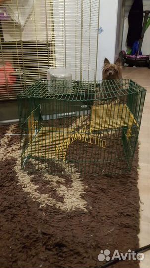 Клетка для грызунов