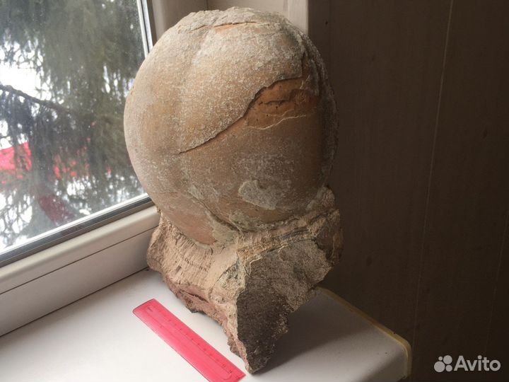 Продаётся шикарный образец