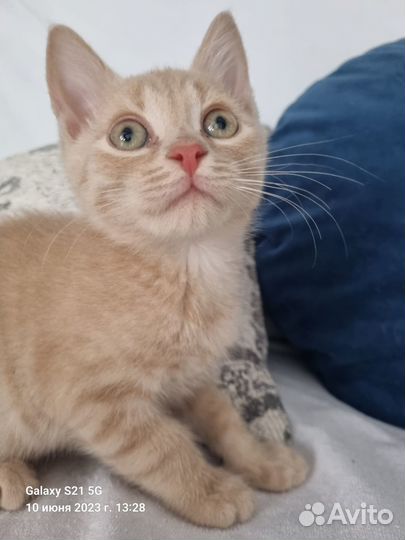 Тёмочка малыш ищет семью