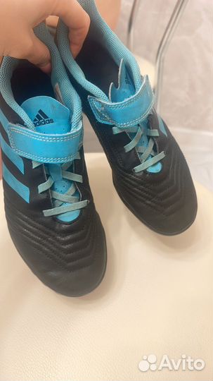 Сороконожка