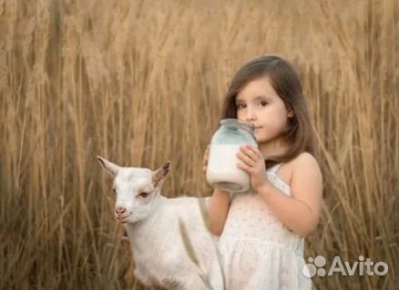 Козье молоко