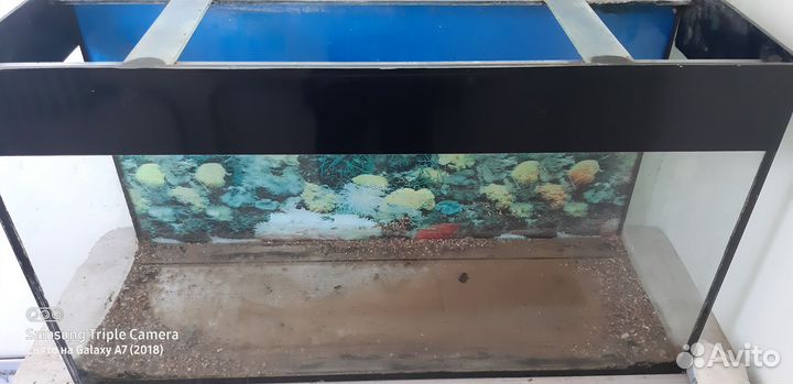 Аквариум