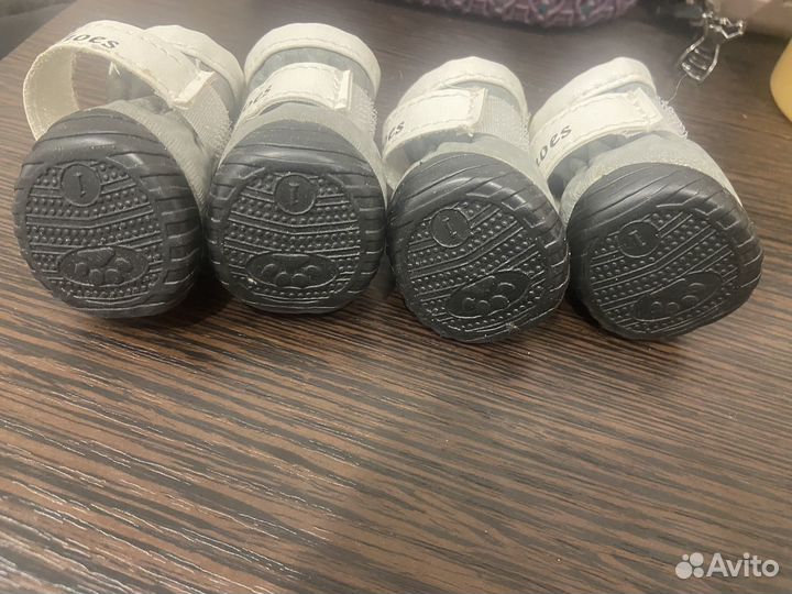 Ботинки для собак мелких пород XS