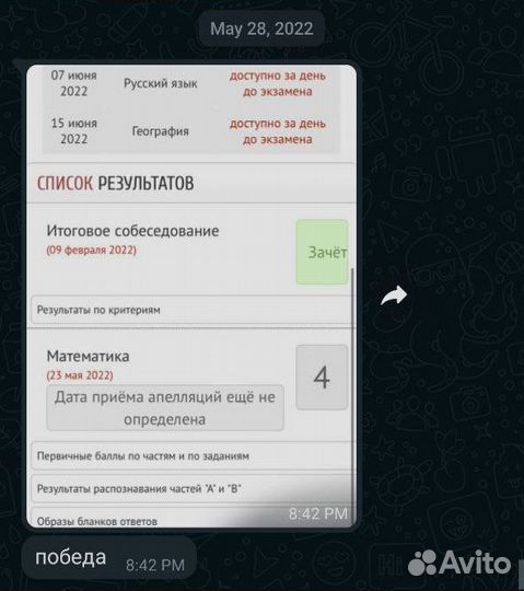 Репетитор по математике/информатике