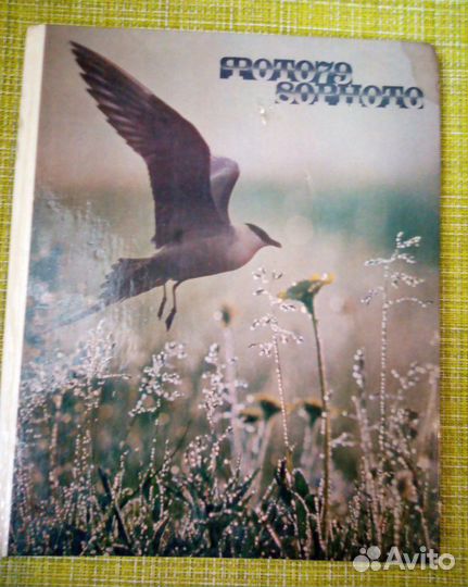 Фотоальбом 